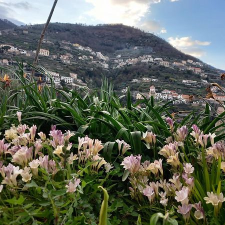 La Margherita Fiorita Ravello Eksteriør billede